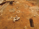 FileNo.164-049.jpg