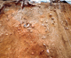 FileNo.164-055.jpg