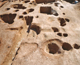 FileNo.164-057.jpg