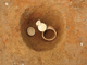 FileNo.164-061.jpg