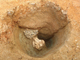 FileNo.164-062.jpg