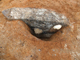 FileNo.164-066.jpg