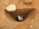 FileNo.164-072.jpg