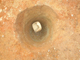 FileNo.164-073.jpg