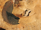 FileNo.164-075.jpg