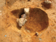 FileNo.164-076.jpg