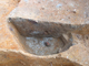 FileNo.164-078.jpg