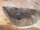 FileNo.164-079.jpg