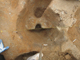 FileNo.164-081.jpg