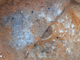 FileNo.164-084.jpg