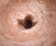 FileNo.164-090.jpg