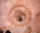 FileNo.164-091.jpg