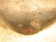 FileNo.164-093.jpg