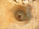 FileNo.164-094.jpg