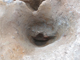 FileNo.164-097.jpg
