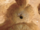 FileNo.164-099.jpg