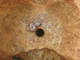 FileNo.164-100.jpg