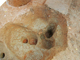 FileNo.164-103.jpg