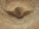 FileNo.164-107.jpg