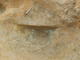 FileNo.164-109.jpg