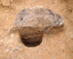 FileNo.164-112.jpg