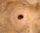 FileNo.164-114.jpg