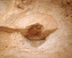 FileNo.164-115.jpg