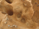 FileNo.164-119.jpg