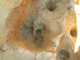 FileNo.164-121.jpg