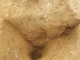 FileNo.164-122.jpg