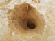 FileNo.164-123.jpg