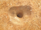 FileNo.164-124.jpg