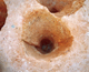 FileNo.164-127.jpg