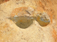 FileNo.164-128.jpg