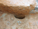 FileNo.164-130.jpg