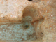 FileNo.164-131.jpg