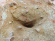 FileNo.164-132.jpg