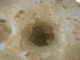 FileNo.164-133.jpg