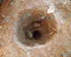 FileNo.164-137.jpg