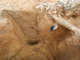 FileNo.164-142.jpg
