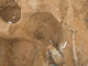 FileNo.164-144.jpg