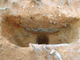 FileNo.164-145.jpg