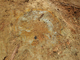 FileNo.164-148.jpg