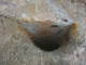 FileNo.164-150.jpg