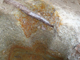FileNo.164-152.jpg