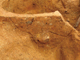 FileNo.164-155.jpg