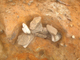 FileNo.164-159.jpg