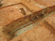 FileNo.164-161.jpg
