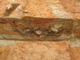 FileNo.164-162.jpg