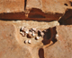 FileNo.164-163.jpg
